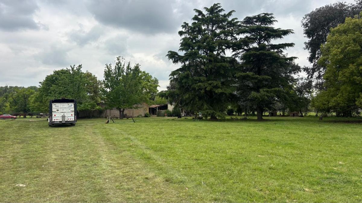 Foto de Excelente fraccion en venta de 10 ha en Manzanares, imagen 3