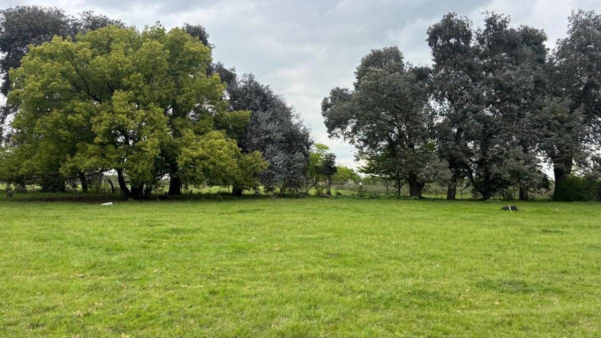 Foto de Excelente fraccion en venta de 10 ha en Manzanares, imagen 4