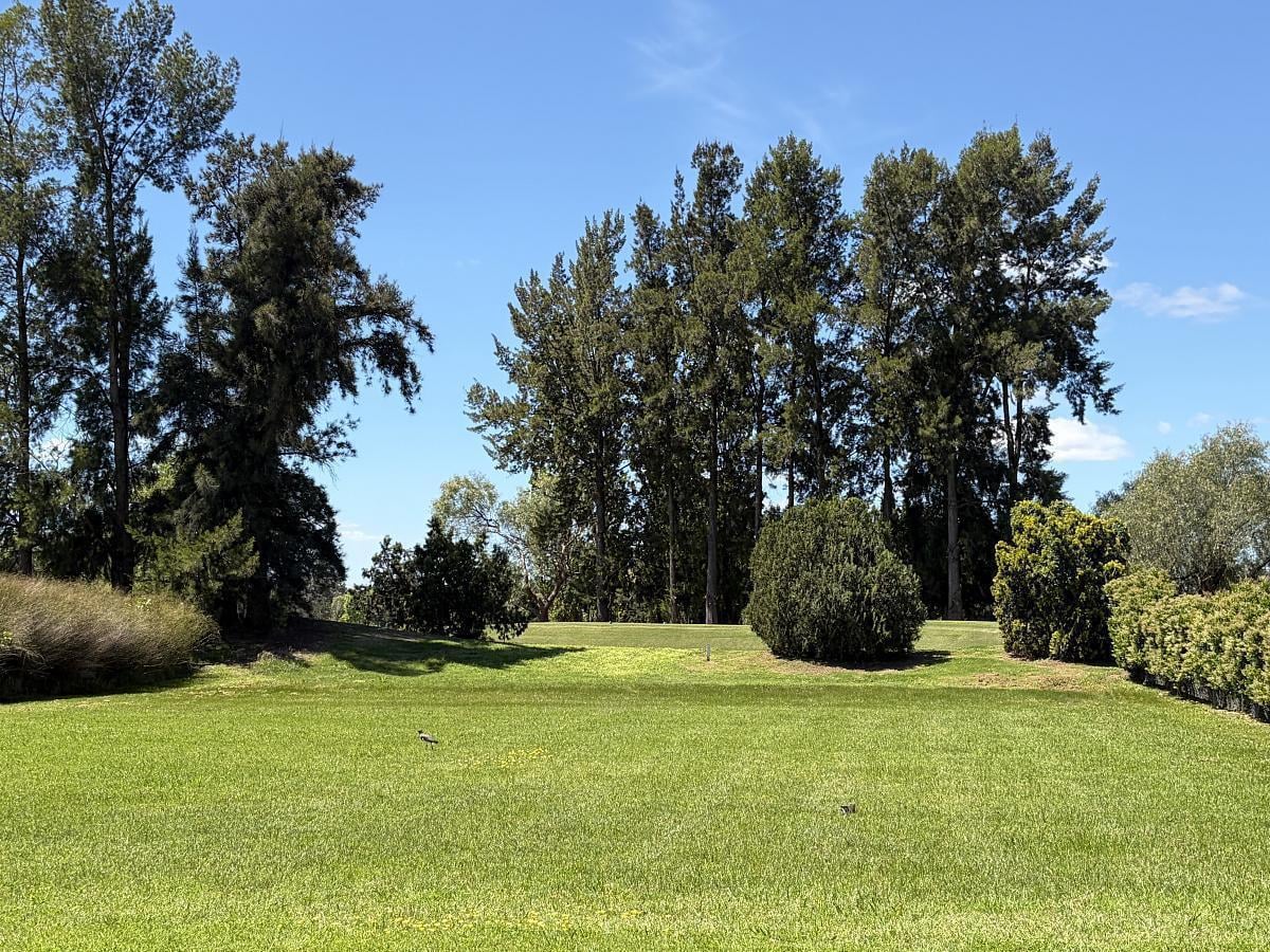 Foto de Exclusivo Lote al Golf, imagen 5