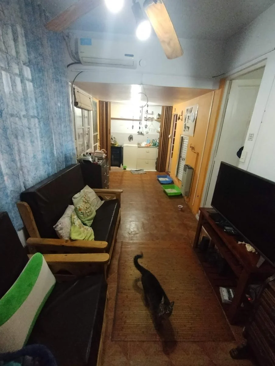 PH 7 Ambientes, Entrada Independiente Al Frente, Patios, Parrilla 2