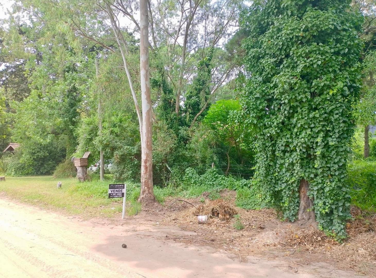Foto de PINAMAR - LOTE SILFIDES, imagen 4