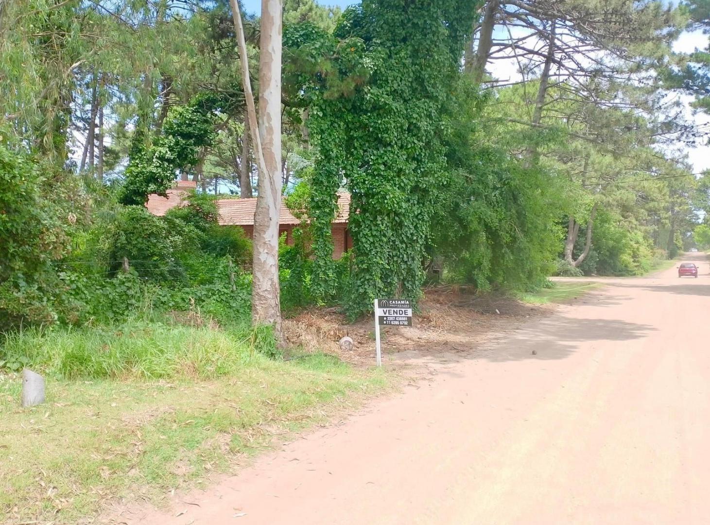 Foto de PINAMAR - LOTE SILFIDES, imagen 3
