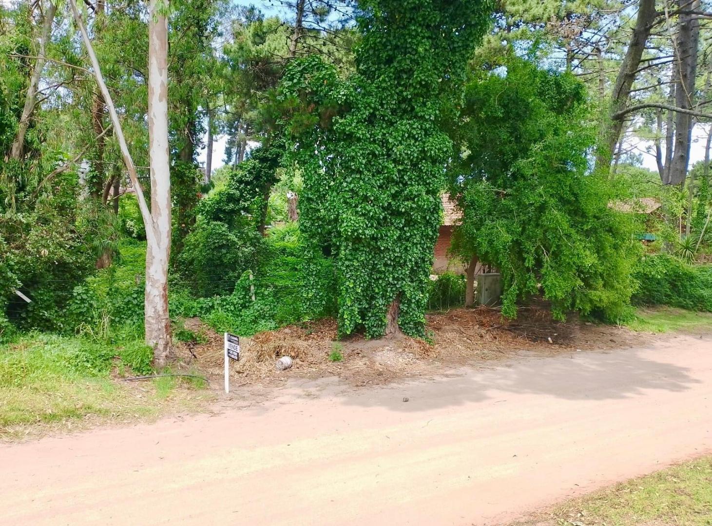 Foto de PINAMAR - LOTE SILFIDES, imagen 2
