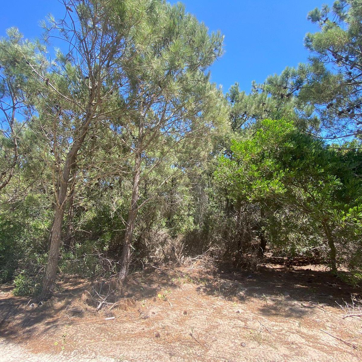 Lote en Venta - Maritimo IV 25 - Costa Esmeralda 1