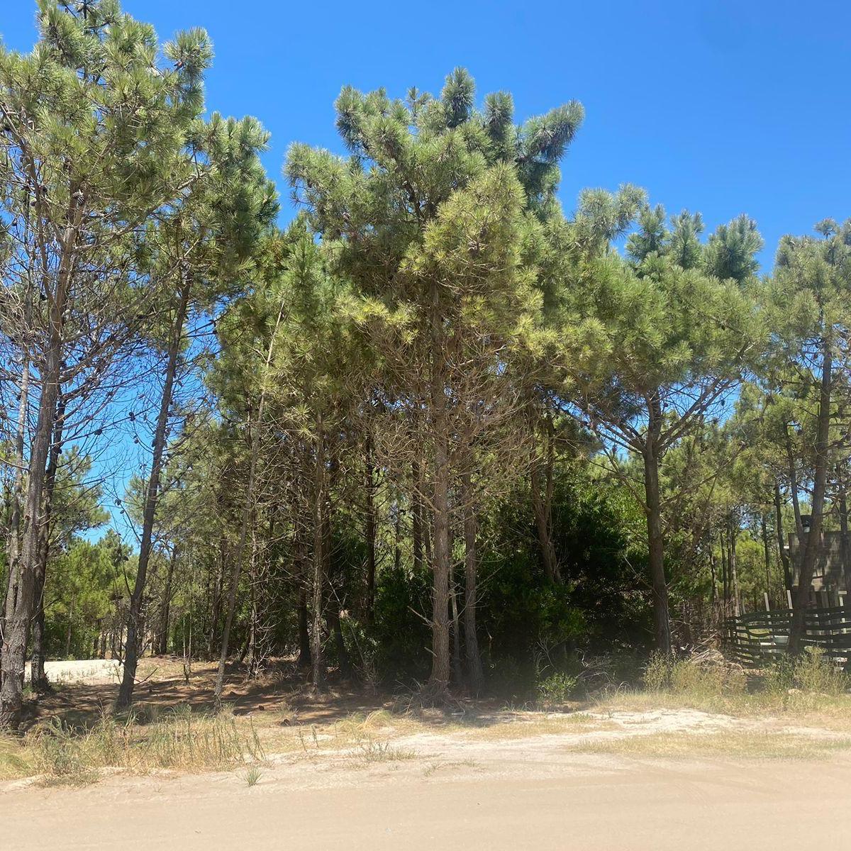 Lote en Venta - Maritimo IV 25 - Costa Esmeralda 4