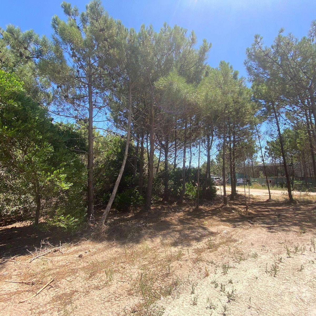 Lote en Venta - Maritimo IV 25 - Costa Esmeralda 3