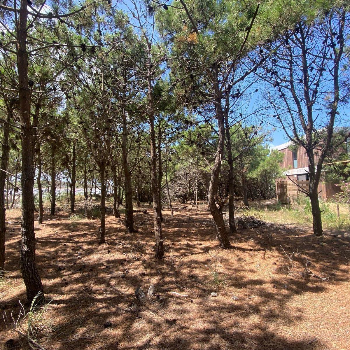 Lote en Venta en Costa Esmeralda - Maritimo IV 9 - 1ra Linea de Mar 2