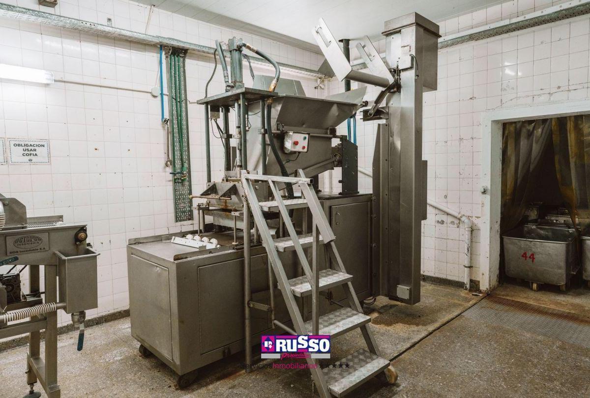 Venta Galpon Frigorico con Instalaciones 1