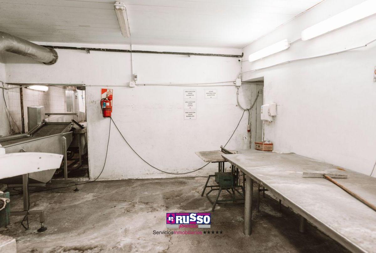 Venta Galpon Frigorico con Instalaciones 2