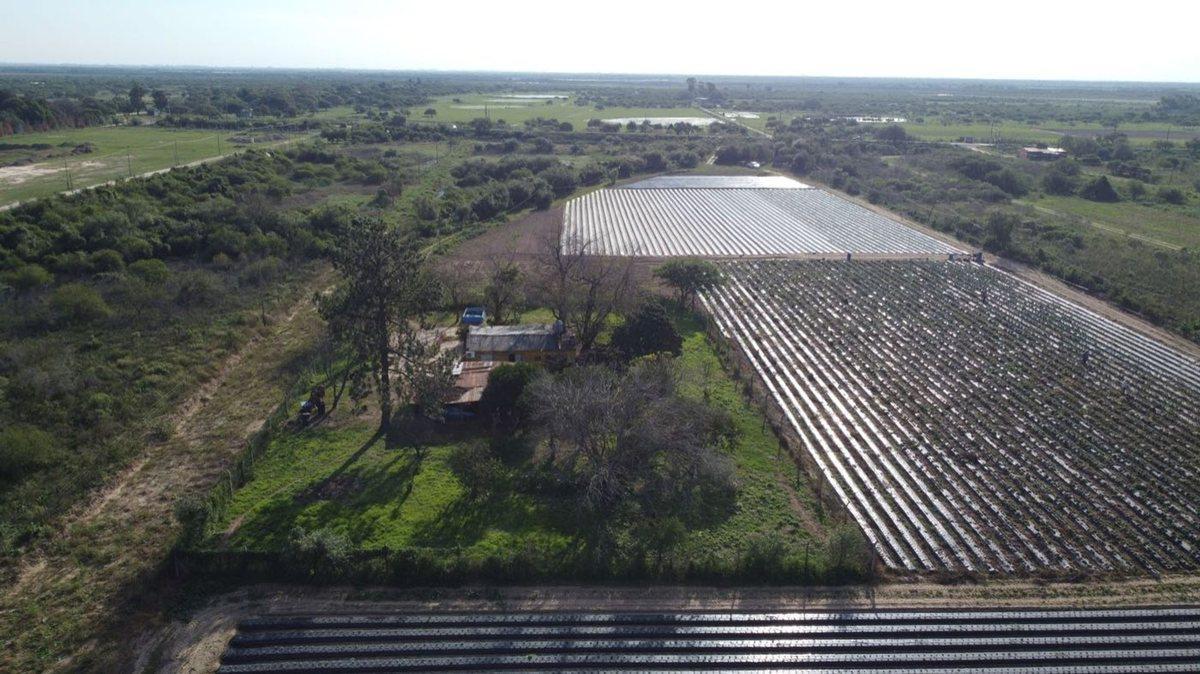 Remax Vende Casa y Terreno de 7,2 Ha Sobre Ruta 1 5