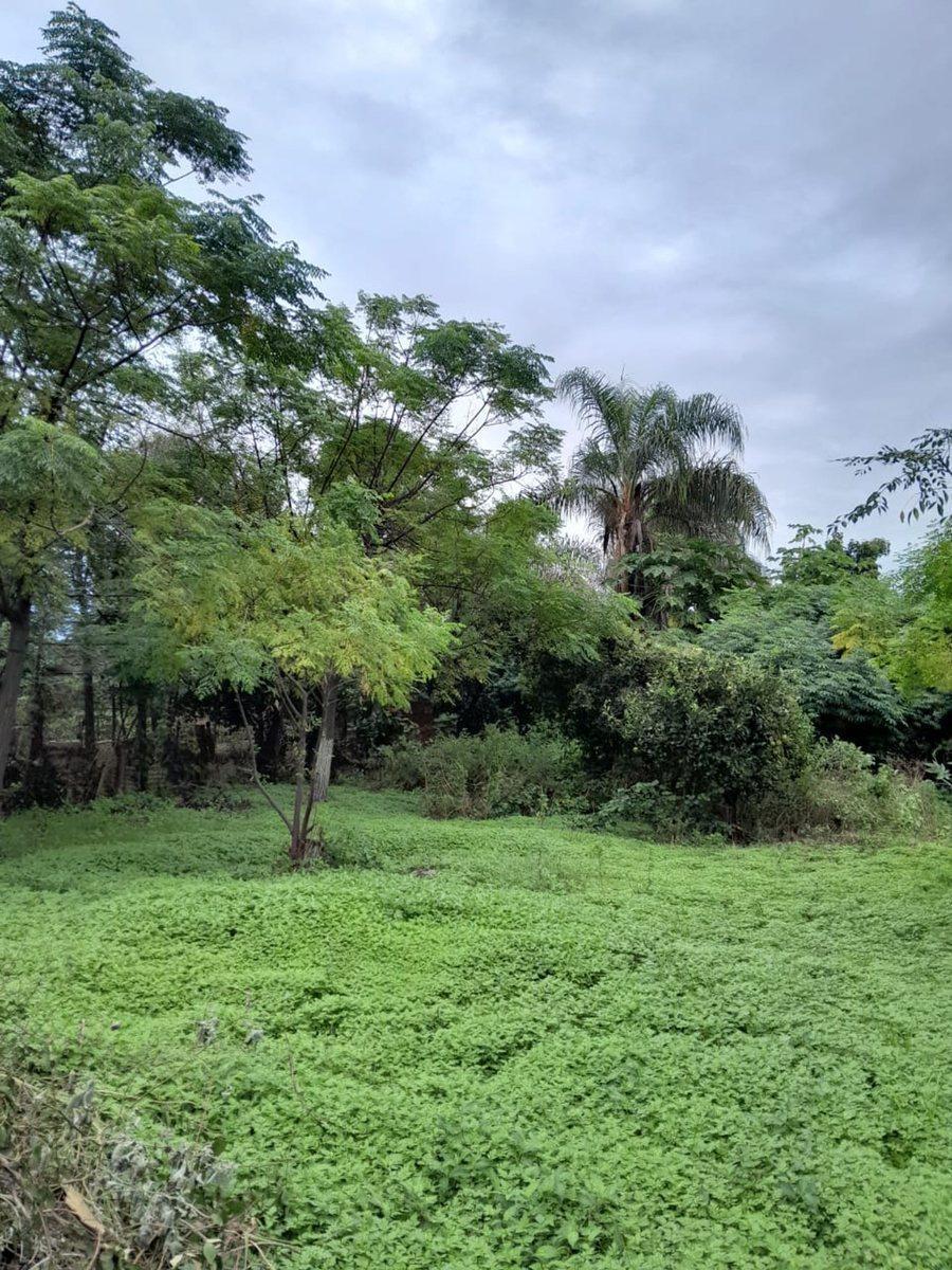 Venta Terreno en Coronda a 3 Cuadras Plaza Ppal. 5
