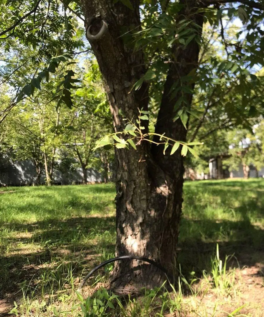 Campo a la venta en Santa Rosa de Calchines 2