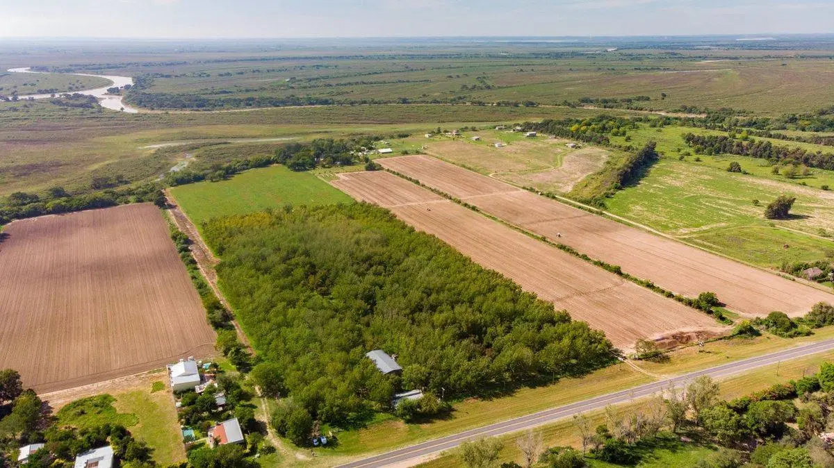 Campo a la venta en Santa Rosa de Calchines 3