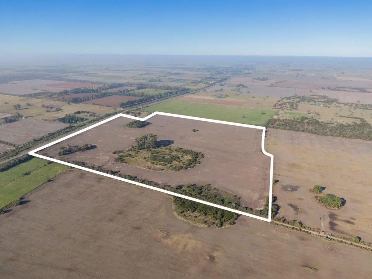 42 has de Campo Agrícola en Arroyo Aguiar 5