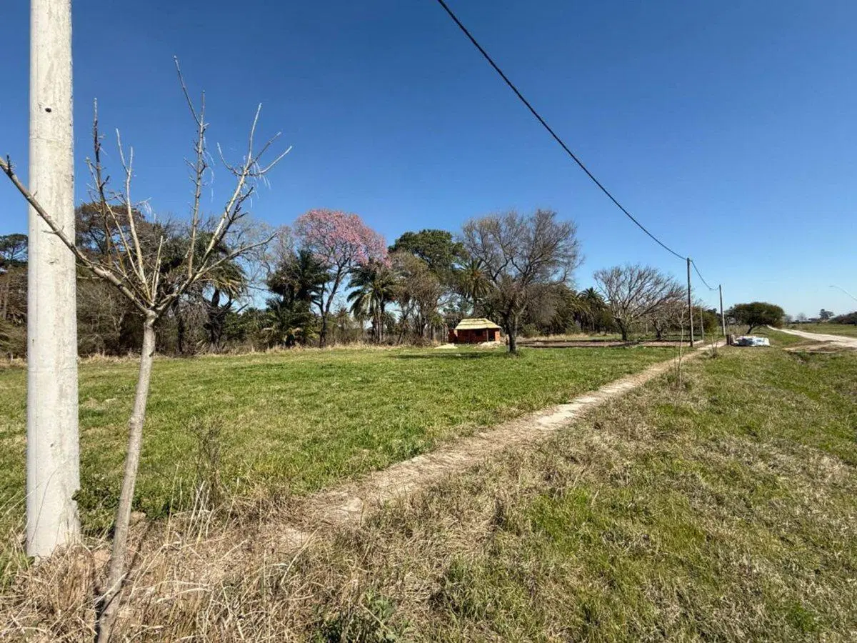 VENTA TERRENO DESVIO ARIJON 5