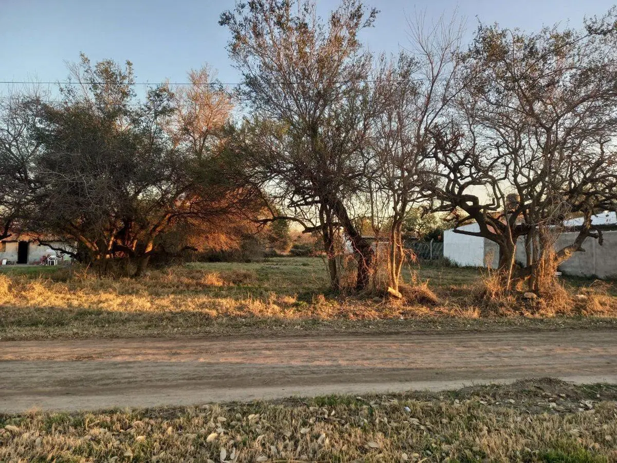 TERRENO EN SAUCE VIEJO A 100 MTS DE LA RUTA 11 3