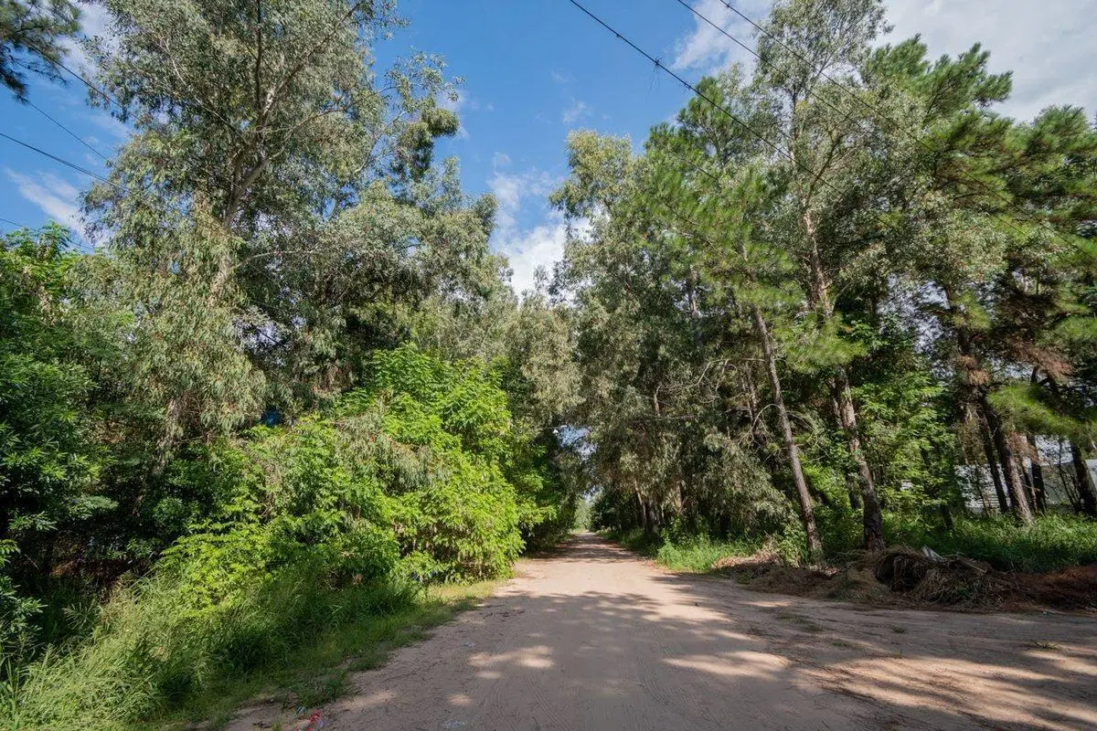 Lote de 627 m2 en Rincón, km 10 4
