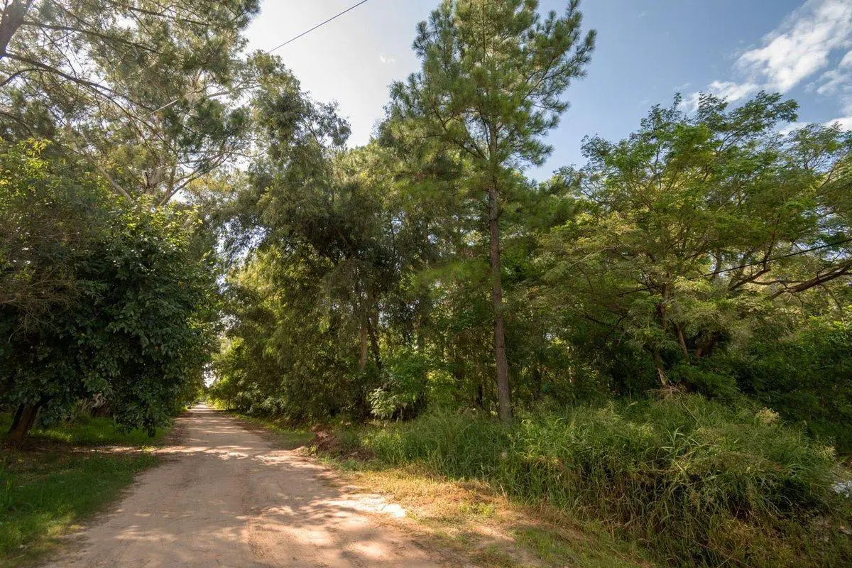Lote de 627 m2 en Rincón, km 10 5