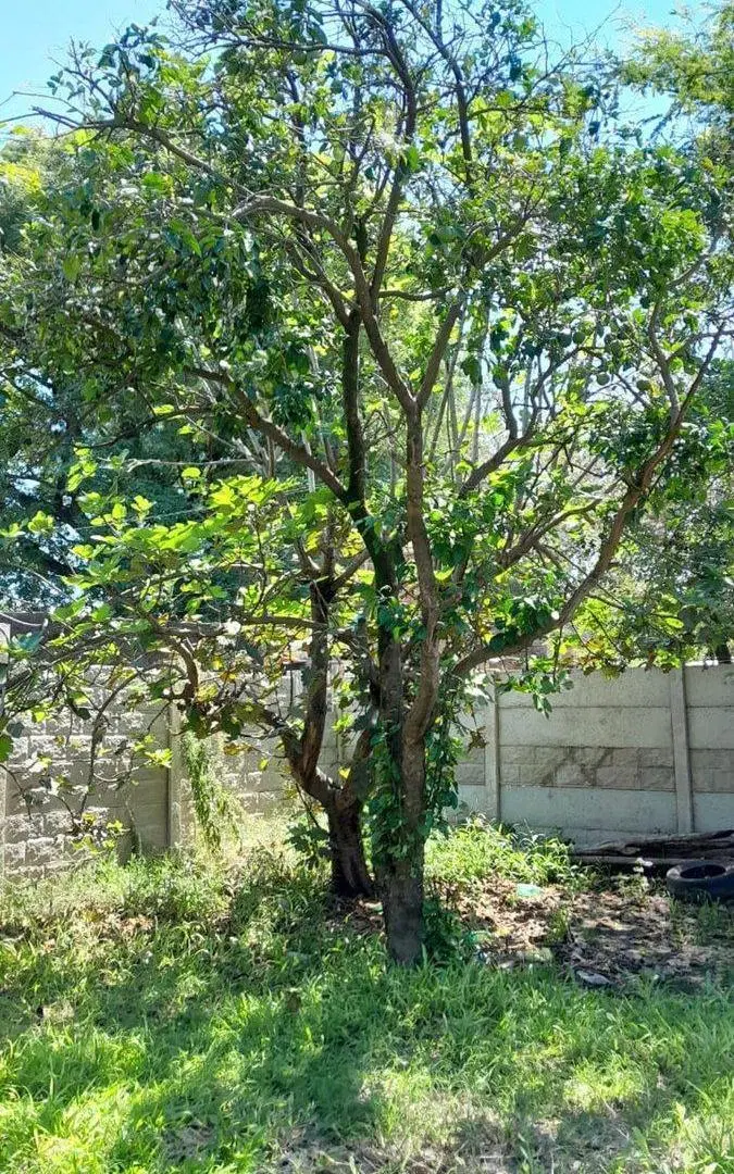 VENTA Terreno en Sauce Viejo de 395m2 2