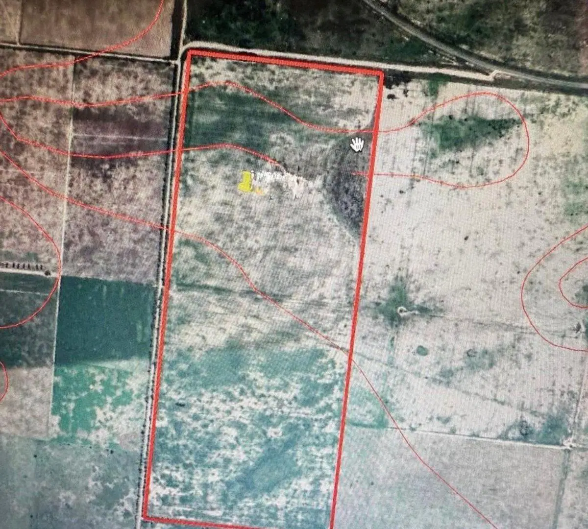 REMAX VENDE CAMPO AGRICOLA SOUTO MAYOR SANTA FE 3