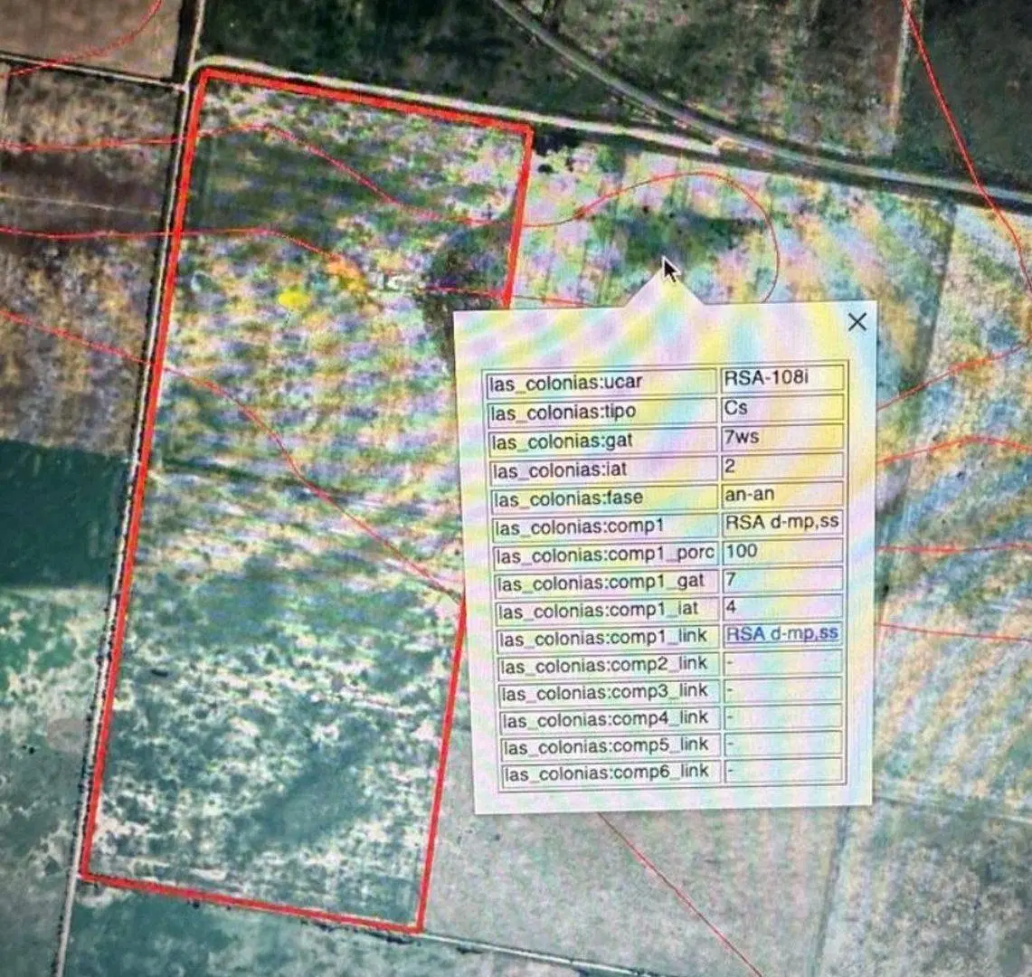 REMAX VENDE CAMPO AGRICOLA SOUTO MAYOR SANTA FE 2