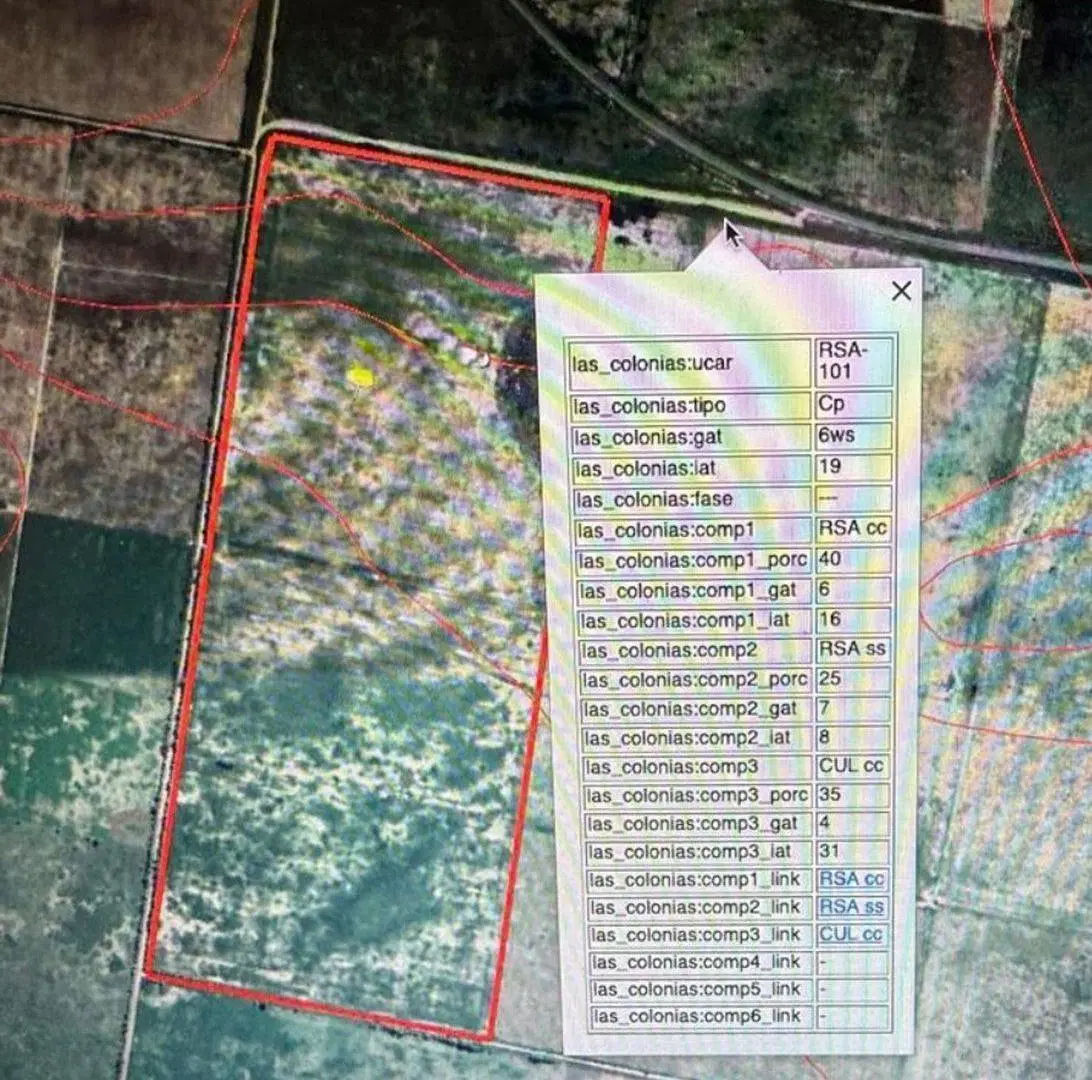 REMAX VENDE CAMPO AGRICOLA SOUTO MAYOR SANTA FE 5