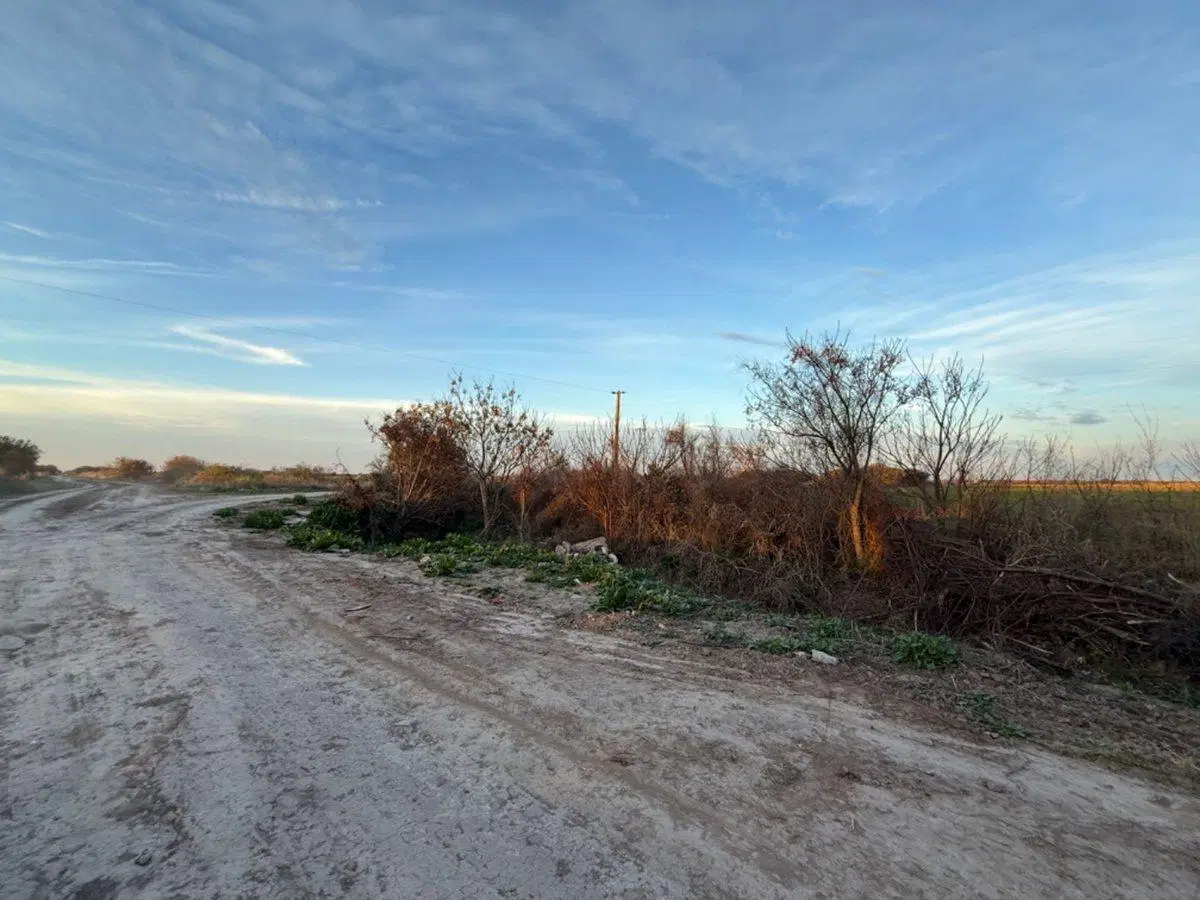REMAX VENDE CAMPO AGRICOLA SOUTO MAYOR SANTA FE 4