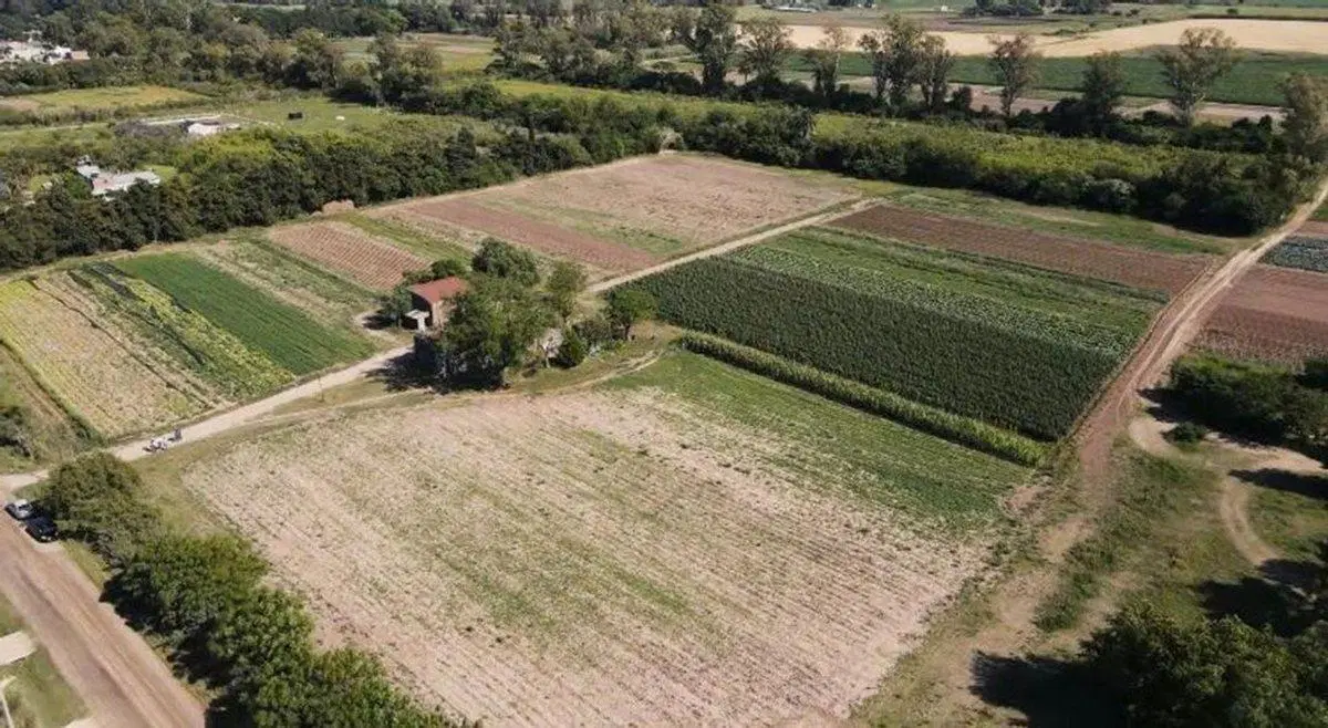 TERRENO EN LOTEO SAN MIGUEL - 200m² 4