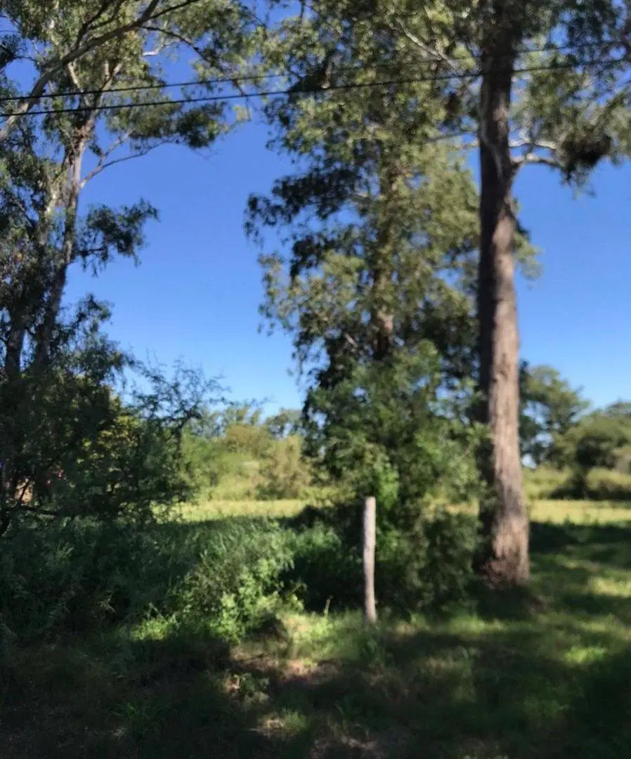 Venta de Lote completo 4