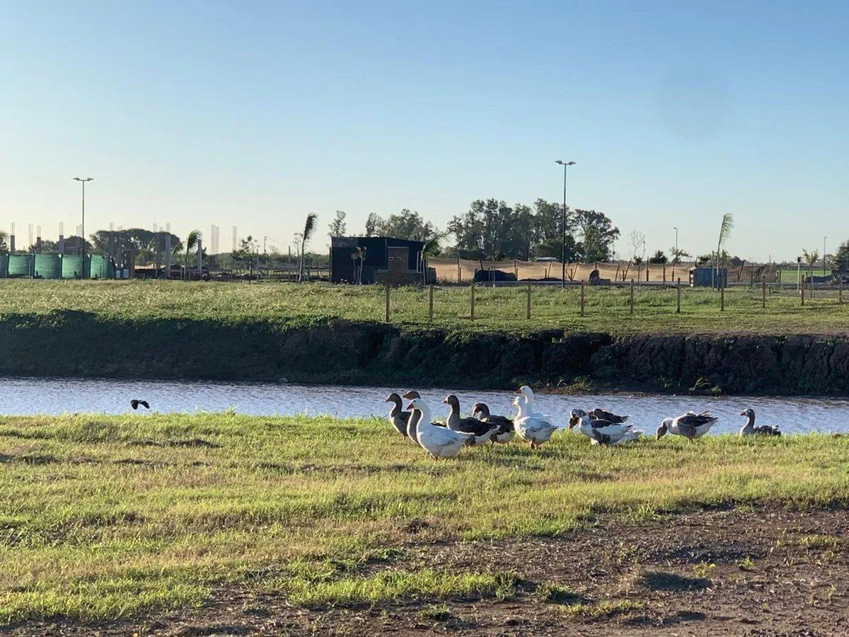 Lote Barrio 6 "La Mansa", Country Nuevos Aires