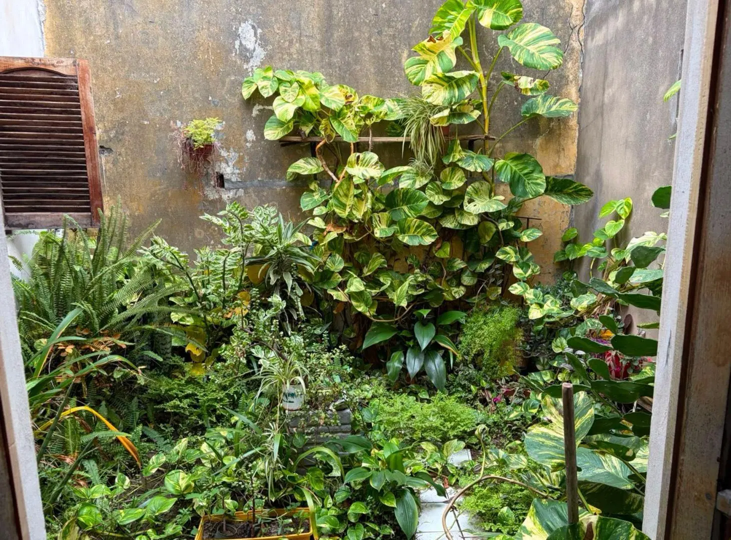 CASA EN BARRIO GUADALUPE OESTE 5