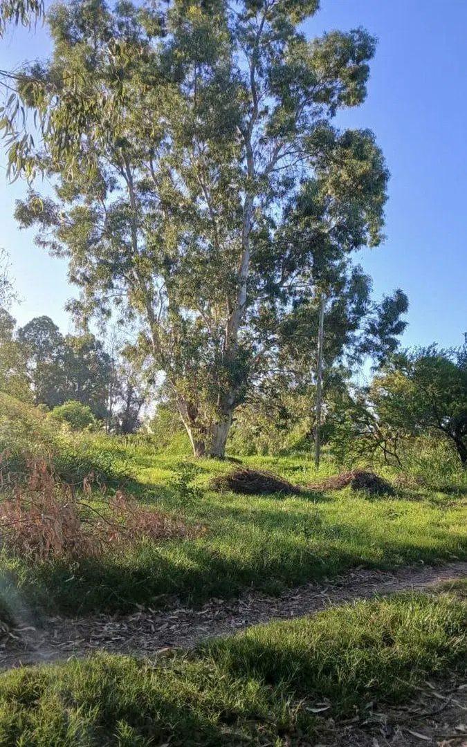 Venta | Lote en Arroyo Leyes | 439m2 3