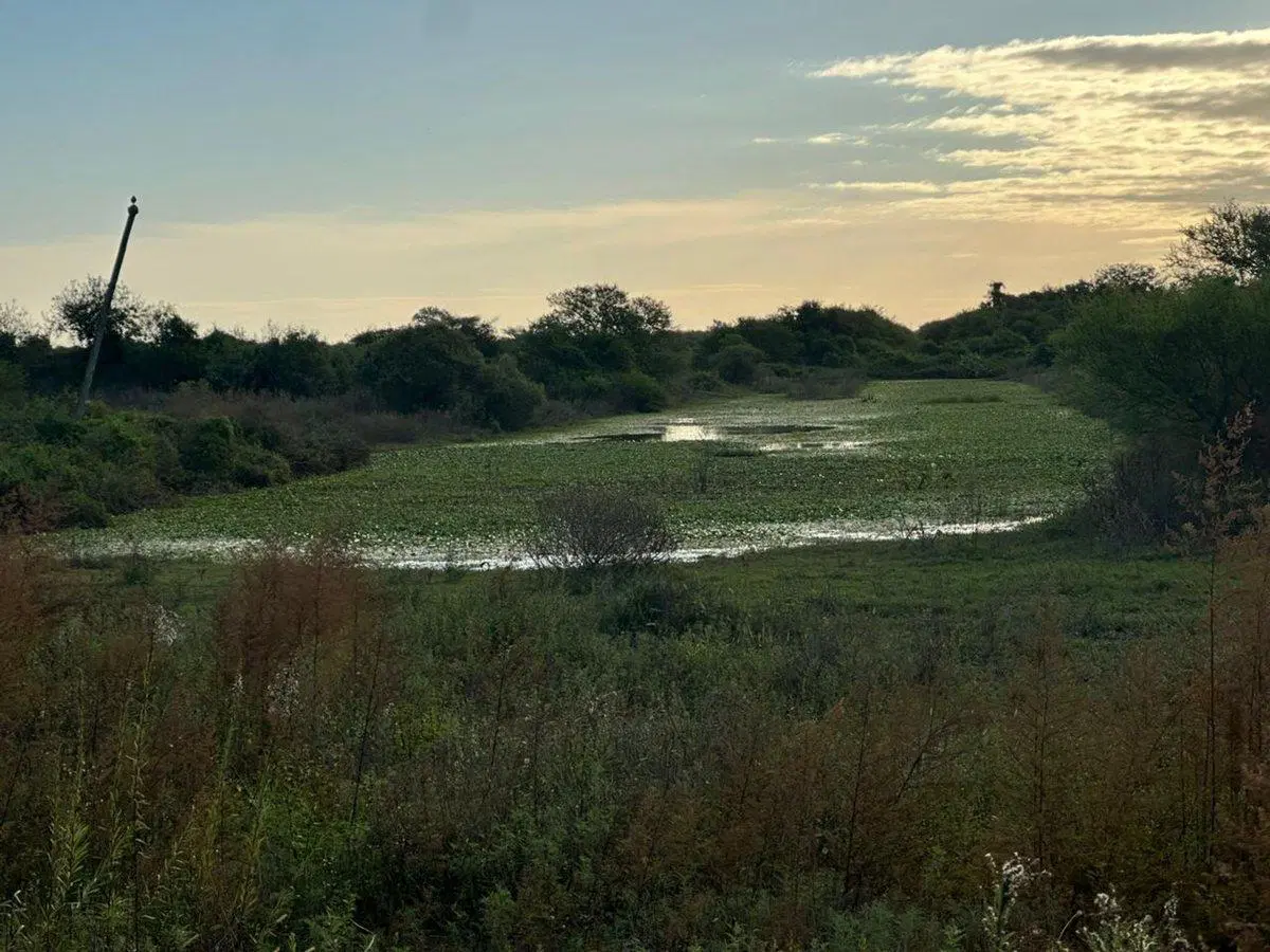 HECTAREAS A METROS DE RUTA 19 KM 4,5 5
