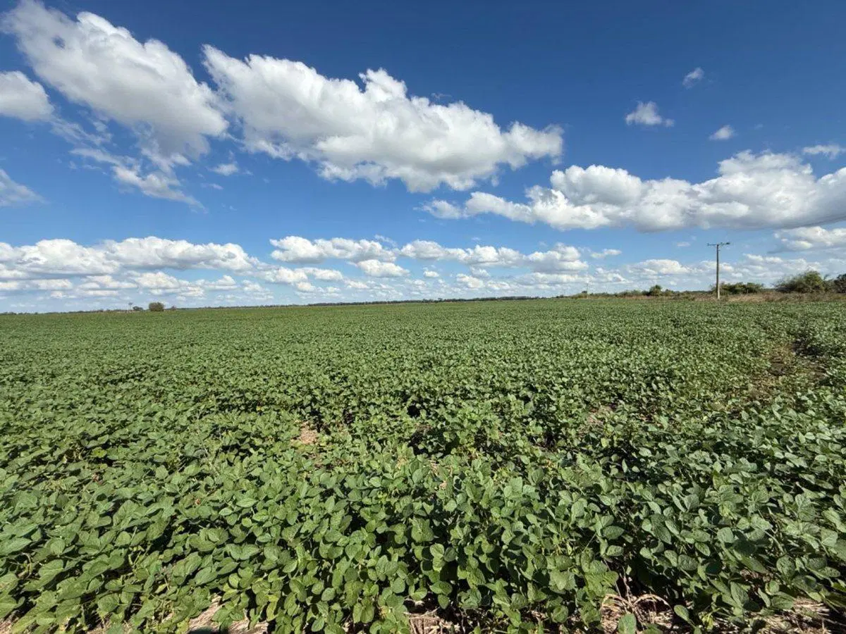 Campo a la venta en Esther departamento San Justo 4