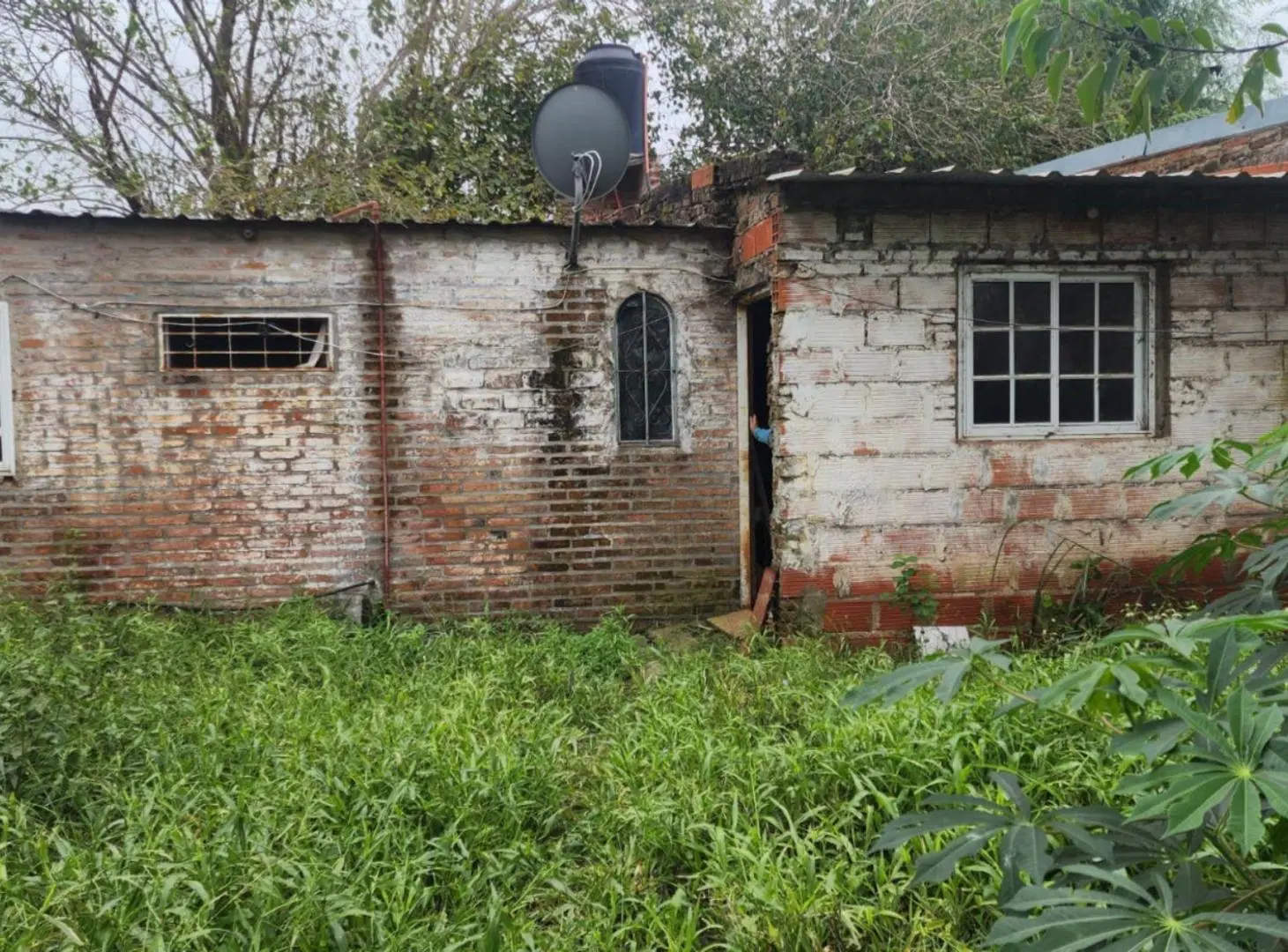 CASA A REFACCIONAR Y GRAN TERRENO 5