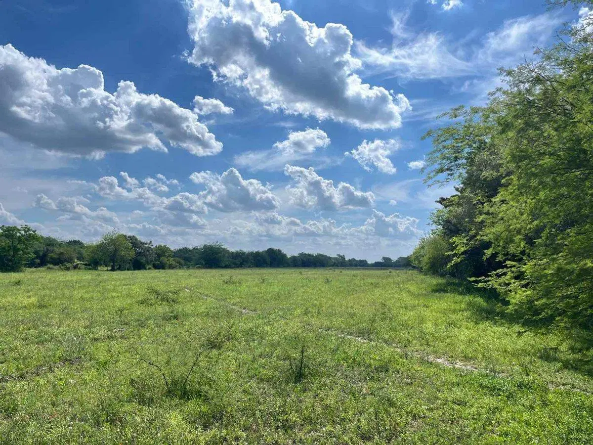 6,6 HECTAREAS EN VENTA - SAUCE VIEJO SOBRE RUTA 11 4