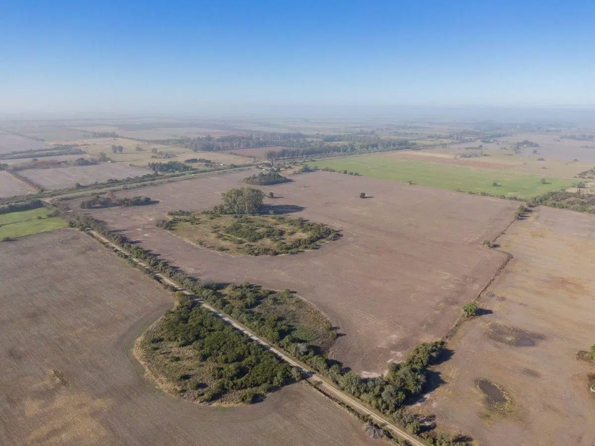 42 has de Campo Agrícola en Arroyo Aguiar 5