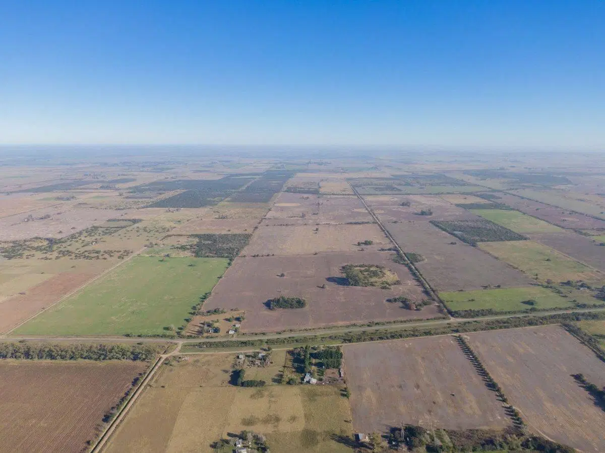 42 has de Campo Agrícola en Arroyo Aguiar 3