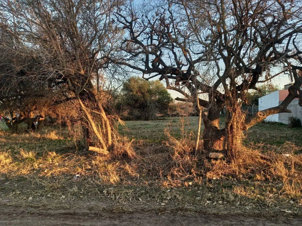 TERRENO EN SAUCE VIEJO A 100 MTS DE LA RUTA 11 3