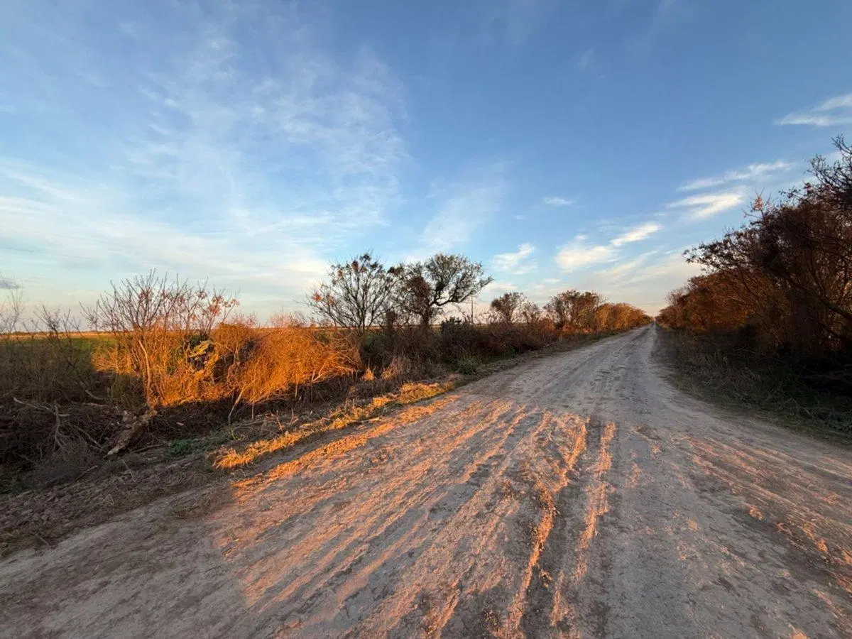 REMAX VENDE CAMPO AGRICOLA SOUTO MAYOR SANTA FE 2