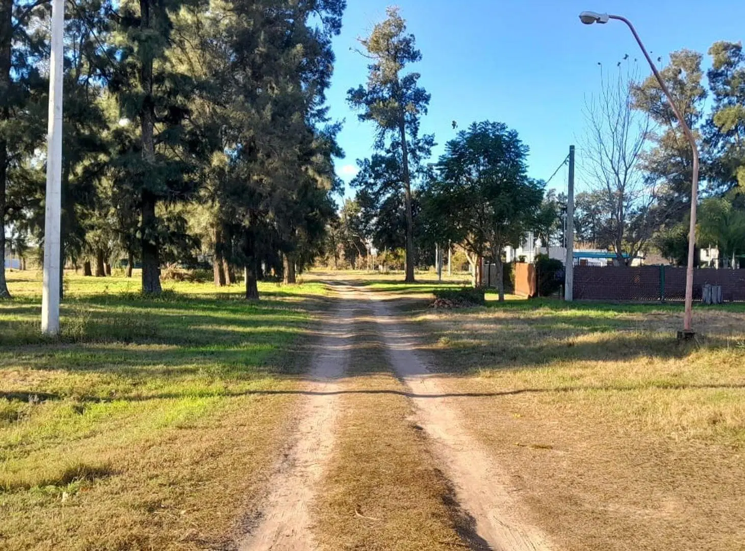 Terreno en Leyes 5