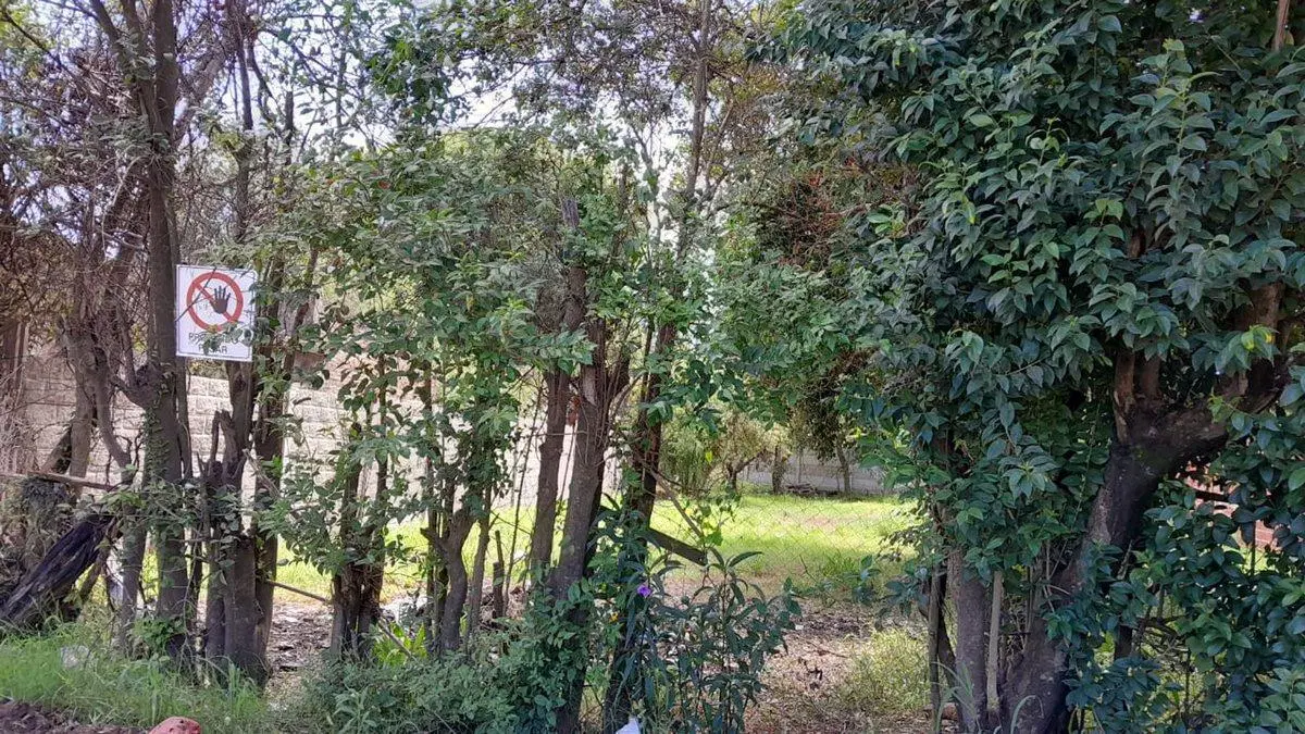VENTA Terreno en Sauce Viejo de 395m2 4