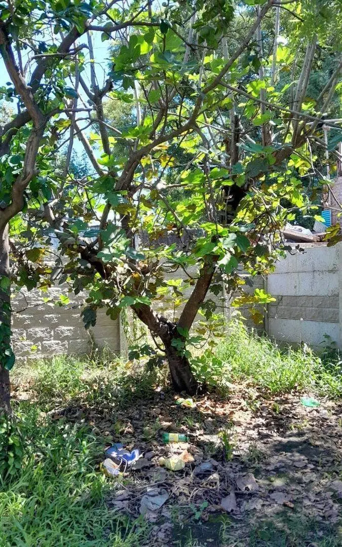 VENTA Terreno en Sauce Viejo de 395m2 2