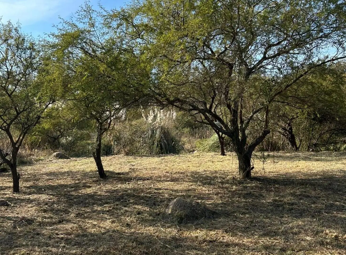 TERRENO EN VENTA VILLA CALIFORNIA SANTA FE 2
