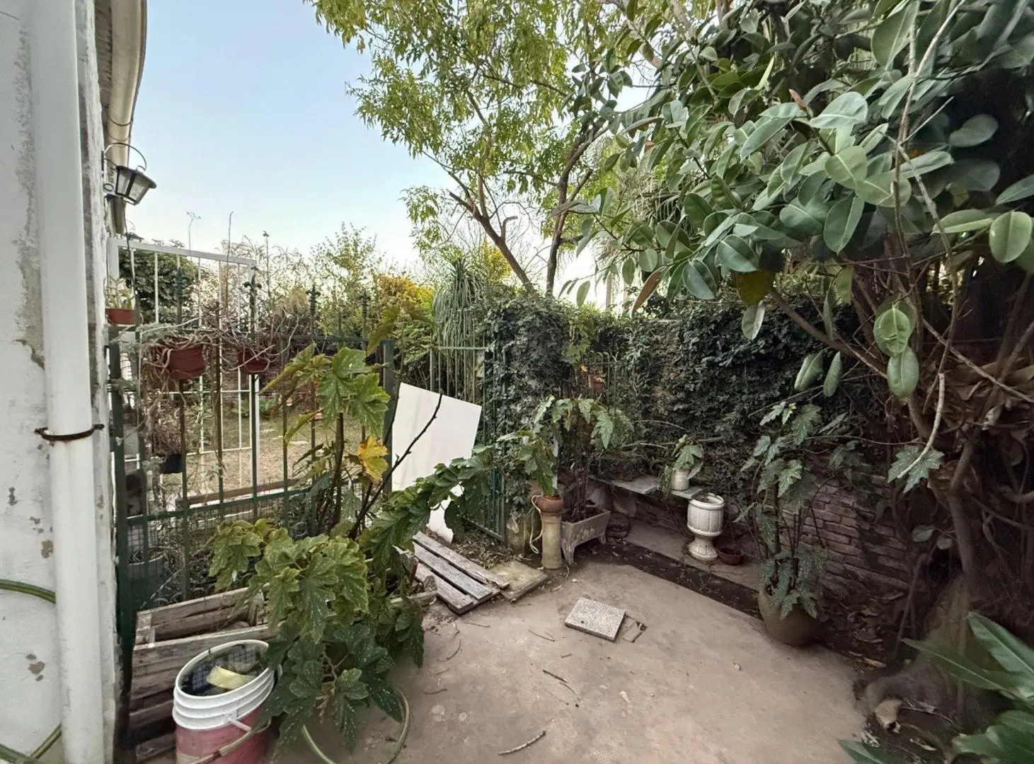 REMAX VENDE LOCAL A 30 MTS PLAZA HUMBERTO PRIMO 3