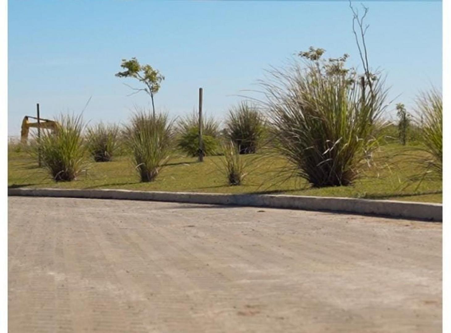 Foto de LOTE EN VENTA EN BARRIO LOS DOMINGOS SAUCE VIEJO, imagen 1