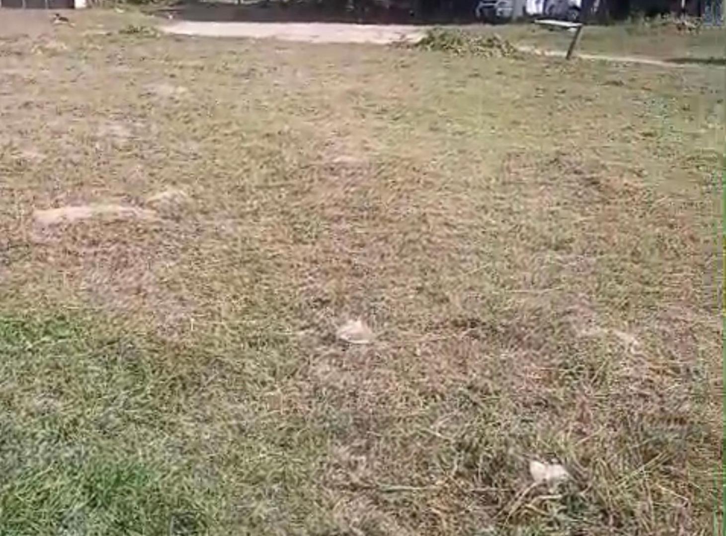 Foto de REMAX VENDE TERRENO AV LOS NARANJOS ARROYO LEYES., imagen 4
