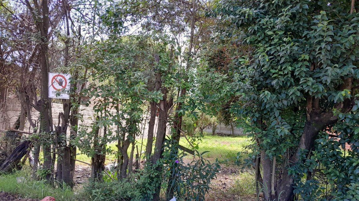Foto de VENTA Terreno en Sauce Viejo de 395m2, imagen 3