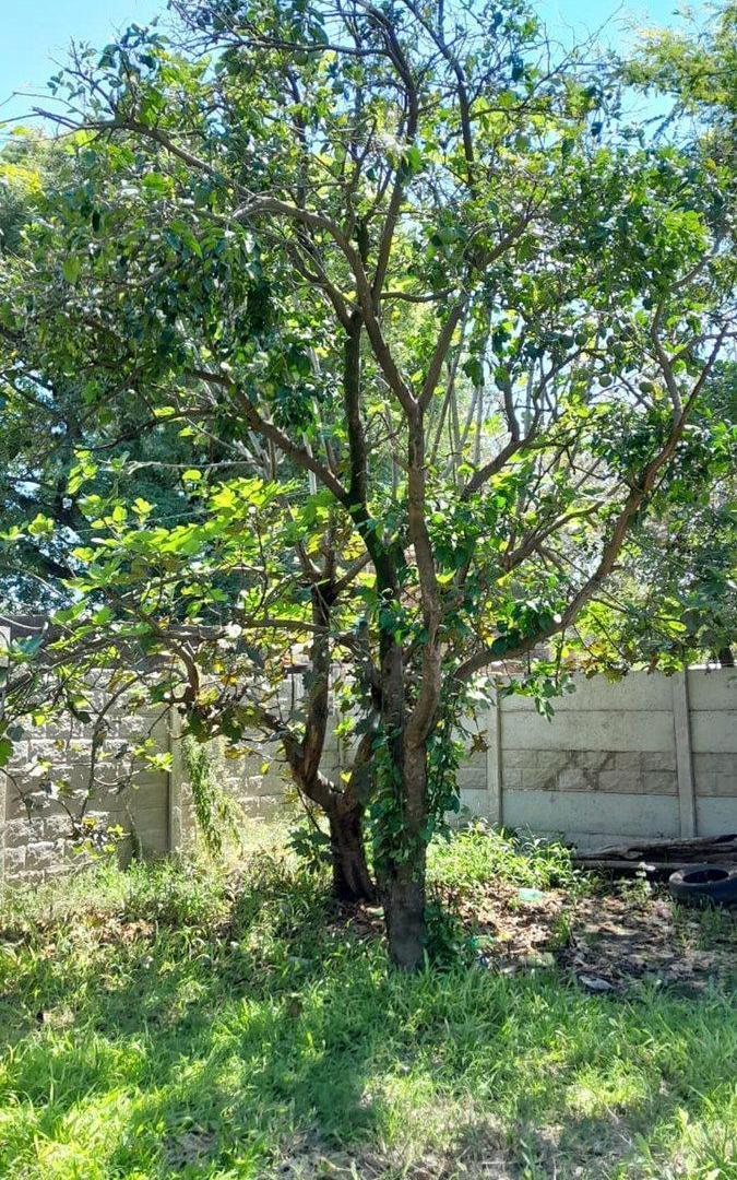 Foto de VENTA Terreno en Sauce Viejo de 395m2, imagen 4