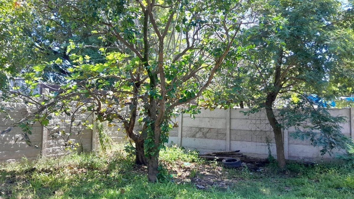 Foto de VENTA Terreno en Sauce Viejo de 395m2, imagen 5